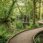 Discover Nature Trails Around Ealing Perfect for Wildlife Watching and Peaceful Outdoor Adventures Year-Round