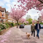 Explore Ealing During Spring With Blossoms, Gardens and Scenic Outdoor Adventures