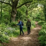 Nature Trails Worth Exploring Around Ealing